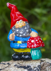 Wee Gnome with a Toadstool