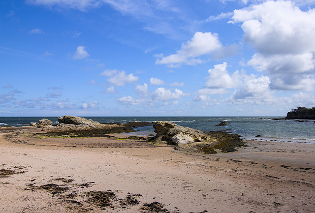 St Andrews, 'Turtle Rock' at the Little Beach