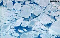 06 Newfoundland Sea Ice Flows