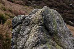 A sandstone rock close up