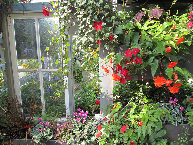 Terrasse mit Pflanzen