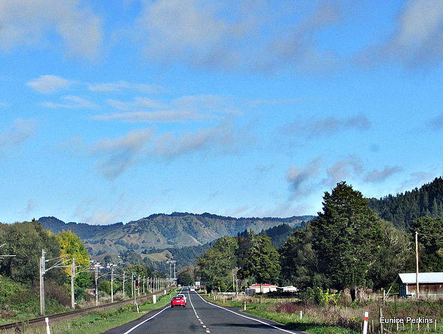 Between Mananui and Taumaranui