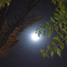 La nuit de pleine lune pour une bonne soirée à tous
