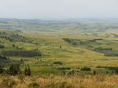 A view from Timber Ridge Conservation Area
