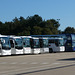 A line-up at the Coach Services premises in Thetford - 21 Sep 2019 (P1040344)