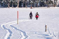 Snowshoe Hikers