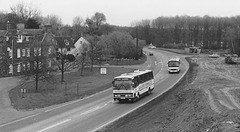 Ambassador Travel 897 (A101 HNC) and 800 (OEX 800W) at Barton Mills - 28 Apr 1985 (16-26A)