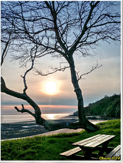 Bench in front of low tide - HBM