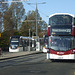 DSCF7031 Lothian Buses 448 (SJ66 LPF) and  Edinburgh Trams 260 and 256 on Princes Street - 6 May 2017