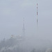 Winter-Nebel am Üetliberg (© Buelipix)