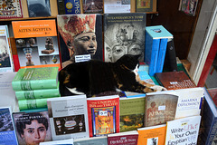 Book cat