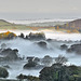 Valley mist at sunrise, Cumbria