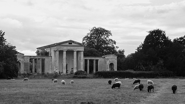 Ayot St Lawrence with sheep