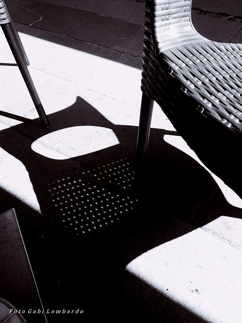 the chair and his shadow