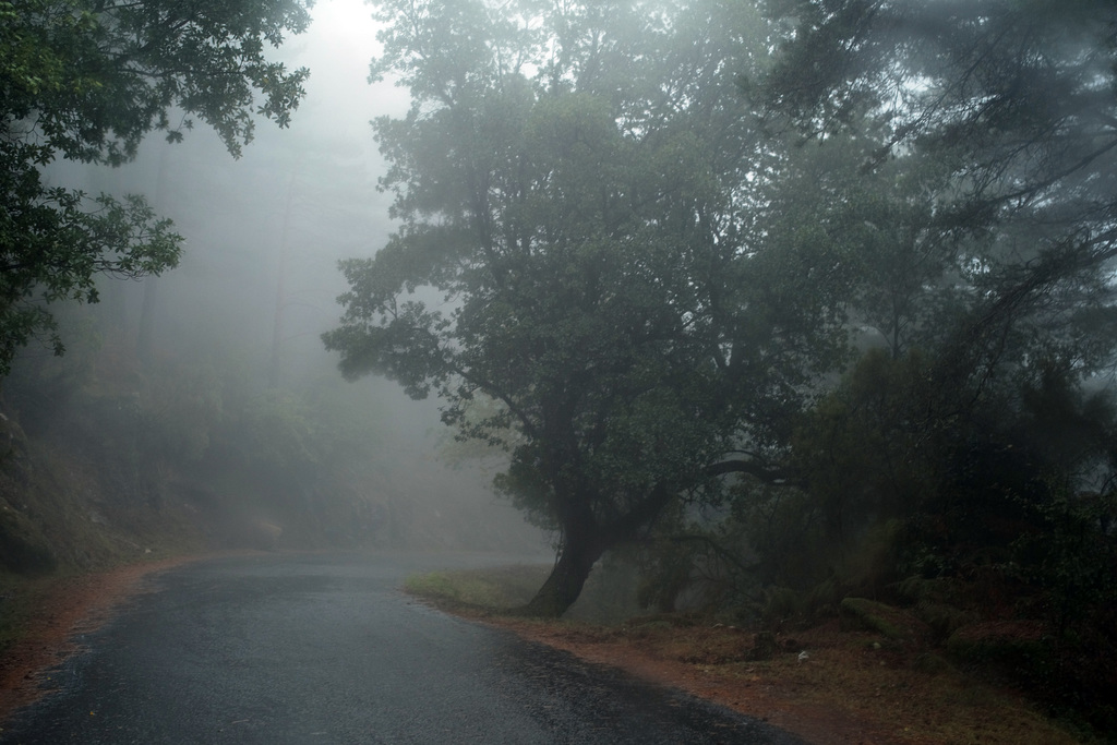 Mata da Albergaria, Rain and mist through the windshield L1005648