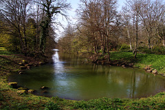 Naissance de la source du Loiret dans l'enceinte du Parc Floral d'Orléans