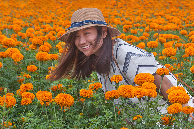 Young model in the marigold field