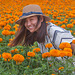 Young model in the marigold field