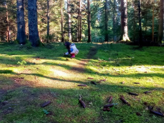 The little girl is playing in the woods