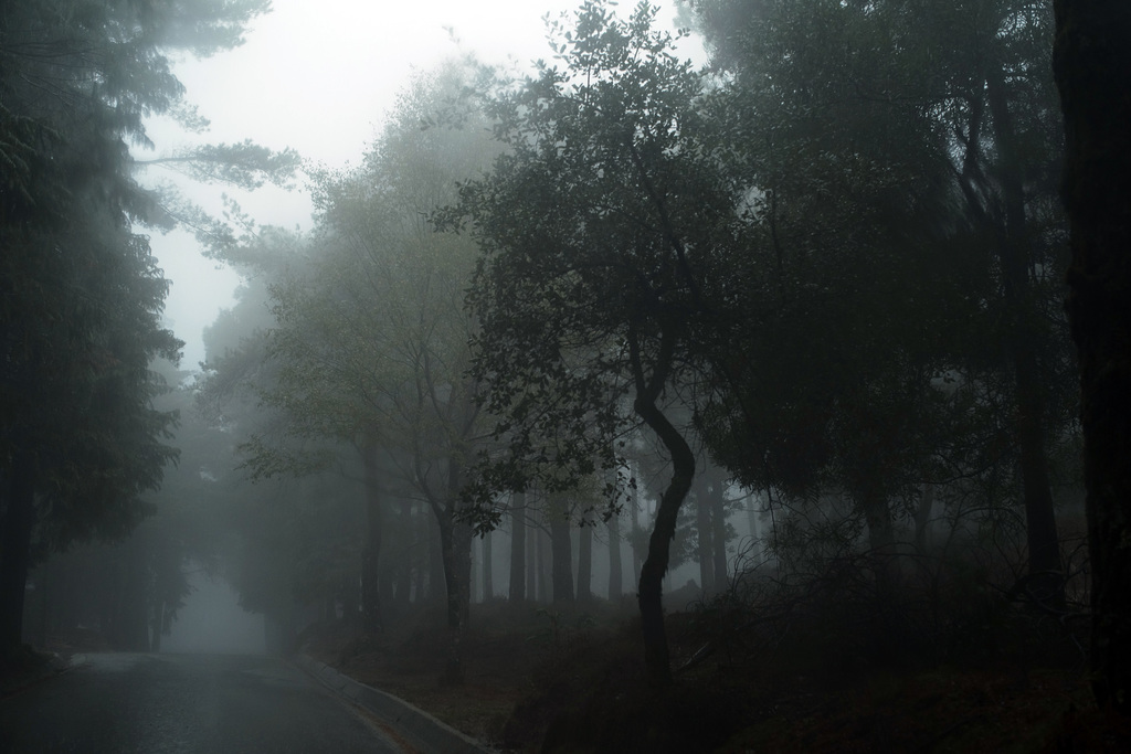 Mata da Albergaria, Rain and mist through the windshield L1005643