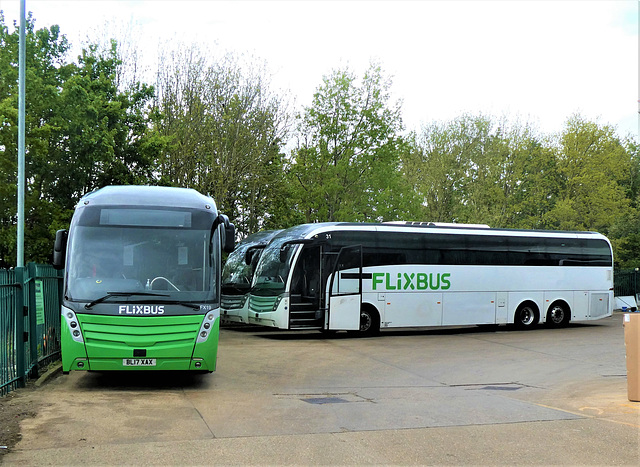 Whippet Coaches (Flixbus contractor) FX19 (BL17 XAX) and FX31 (BL17 XAX) at Swavesey - 11 May 2021 (P1080290)