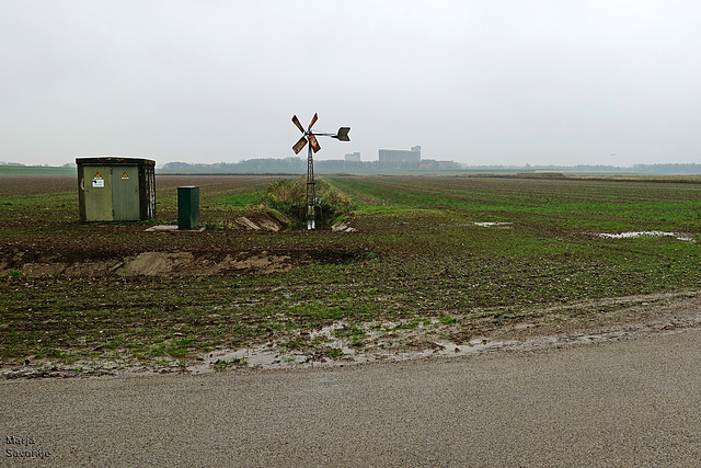 Munnikenland uitkijk naar meelfabriek met windmolen