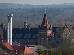 Blick auf die Feldstr. in Lüneburg