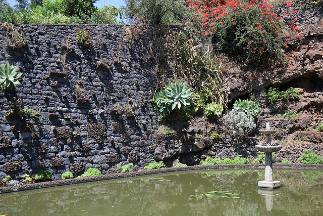 Funchal - Der "Jardim Botânico" (01)