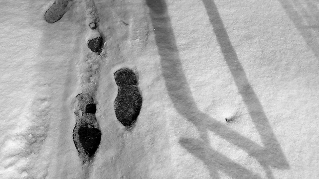 The footprints remain...