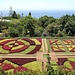 Funchal - Der "Jardim Botânico" (02)