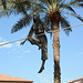 UAE, Dubai, Sculpture of a tightrope walker