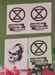 1 (73)..austria ..sticker..words...extinction rebellion