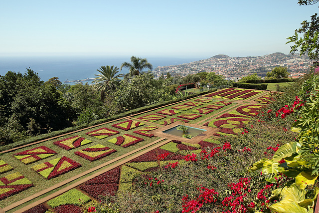 Funchal - Der "Jardim Botânico" (03)