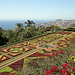 Funchal - Der "Jardim Botânico" (03)