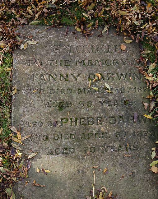 Monument to Fanny and Phebe Darwin, Tankersley Churchyard, South Yorkshire