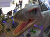 DSCN2705 - Tyrannosaurus rex, Theropoda