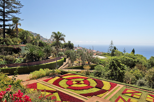Funchal - Der "Jardim Botânico" (05)