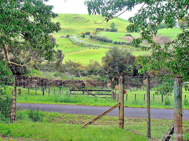 Fenced In.