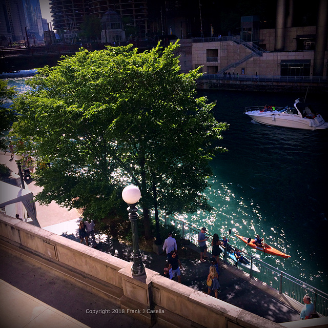 Summer Day's on the Chicago River