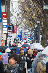 Parapluies à Harajuku