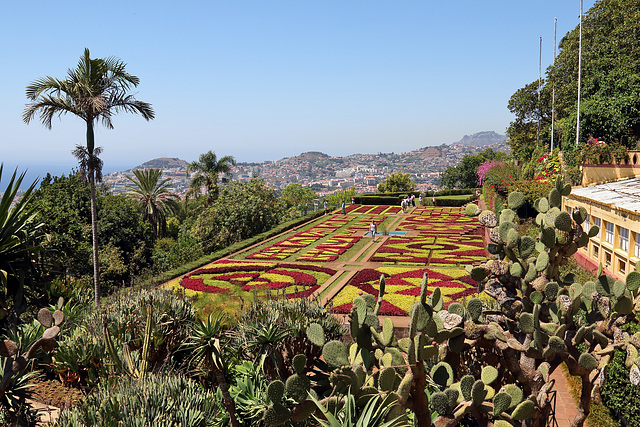 Funchal - Der "Jardim Botânico" (08)