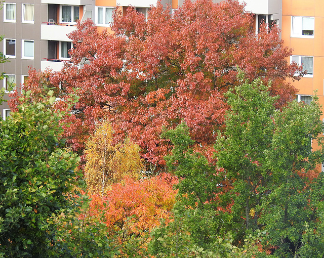 Herbsthof Ottensweide