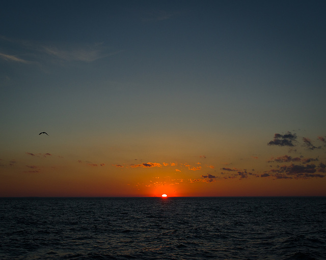 Middle Bass Island sunset