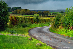 Stormy Signs of Autumn