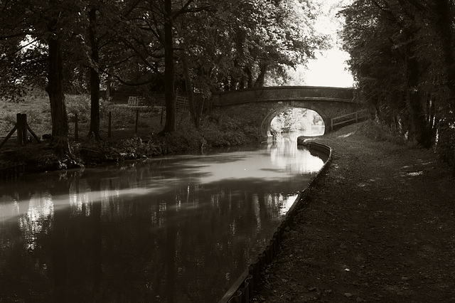 Low sun on the Macclesfield Canal