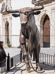 Bull in Grazalema, Spain
