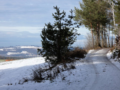 Leonberger Panoramaweg
