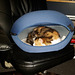 Leeloo in the new kitty pod