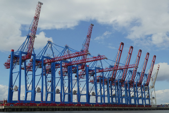 Hafenrundfahrt (4): Containerbrücken am Europakai