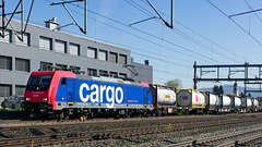 240412 Rupperswil  Re484